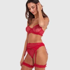Stolen Hearts Suspender - Red -brasnthings shop stolen hearts suspender red 01481001 2