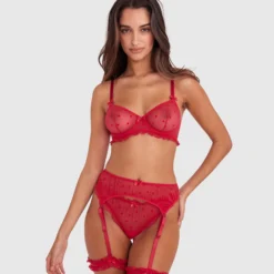 Stolen Hearts Suspender - Red -brasnthings shop stolen hearts suspender red 01481001 4